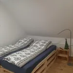 Stylove Kocierz Rychwaldzki